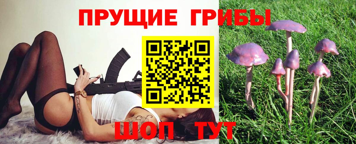 Брянск  Галлюциногенные грибы мухоморы  Вход с VPN 